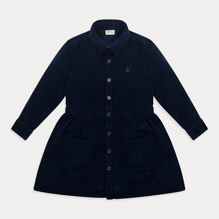 #color_navy-blue