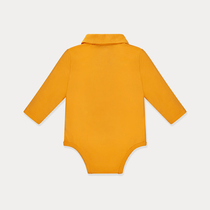 #color_blazing-orange