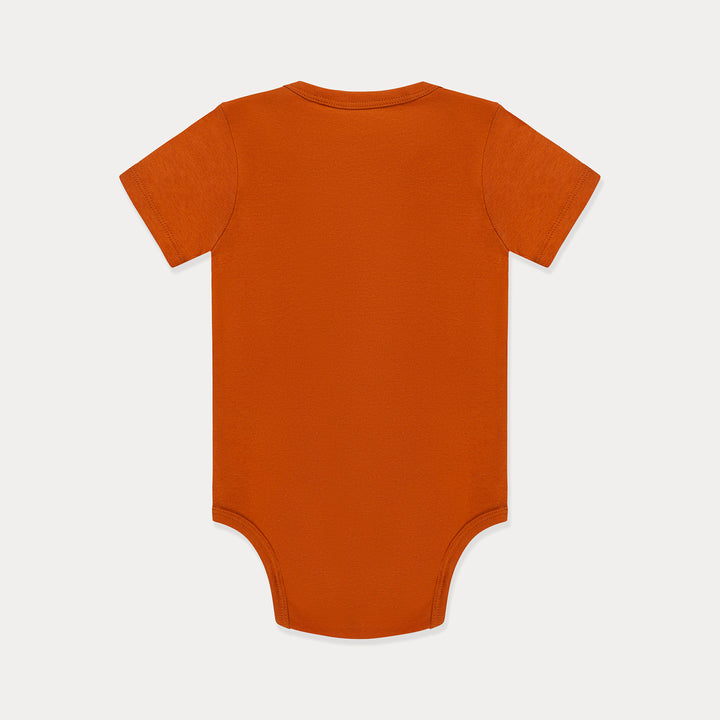 #color_golden-ochre-orange