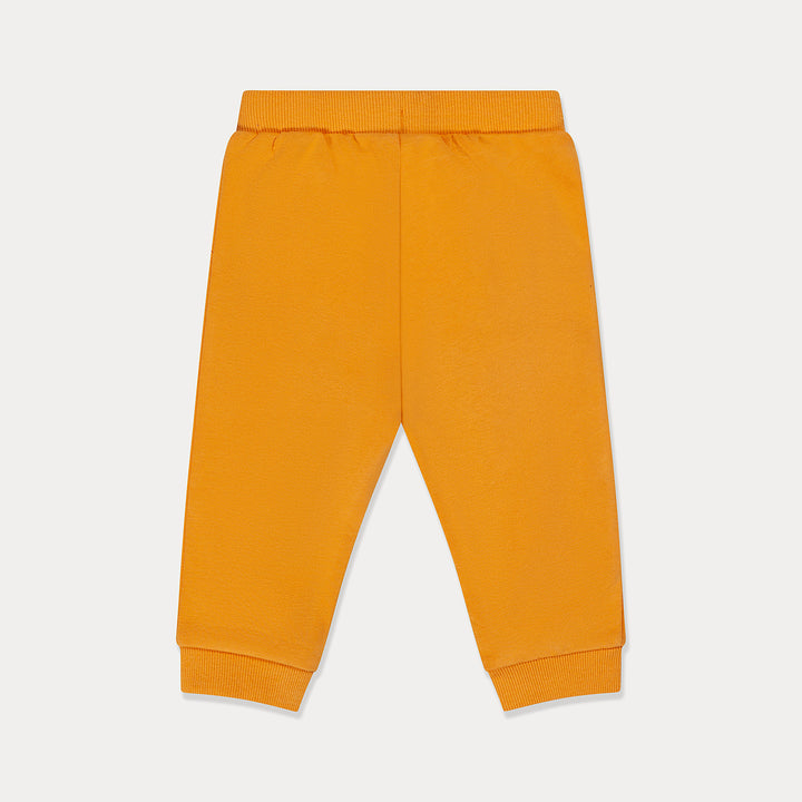 #color_blazing-orange