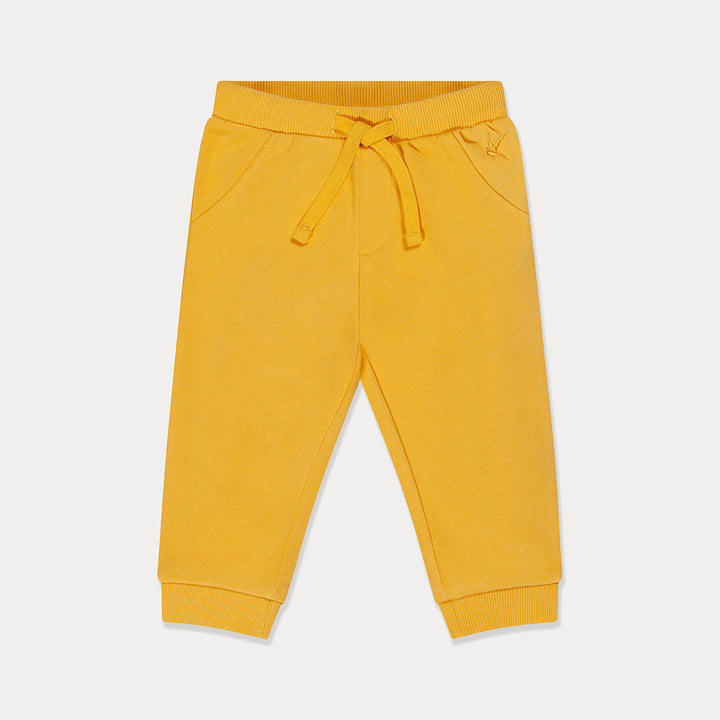 #color_daffodil-yellow