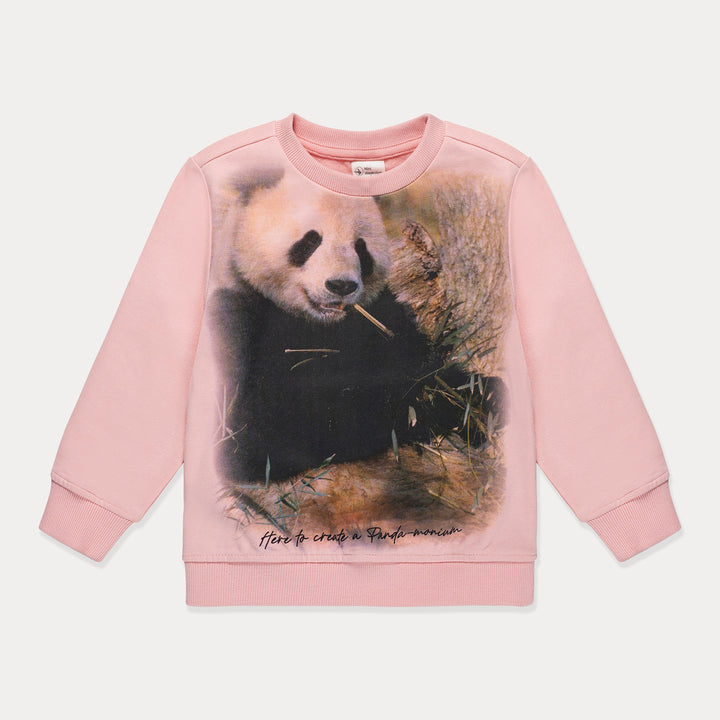 #color_panda-on-pink