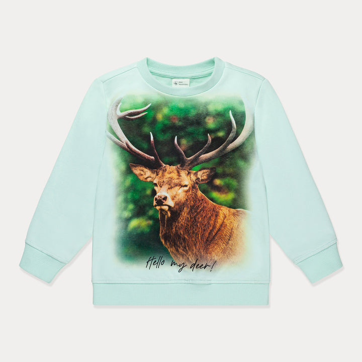 #color_reindeer-on-teal