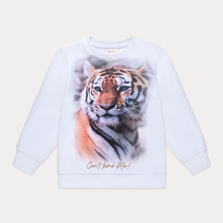 #color_tiger-on-white